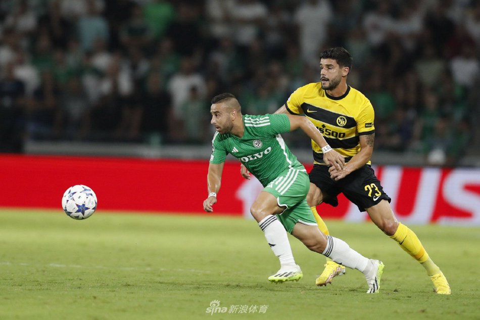 经验丰富的 经验丰富的